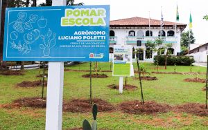 Ferraz de Vasconcelos terá oficina gratuita de fruticultura