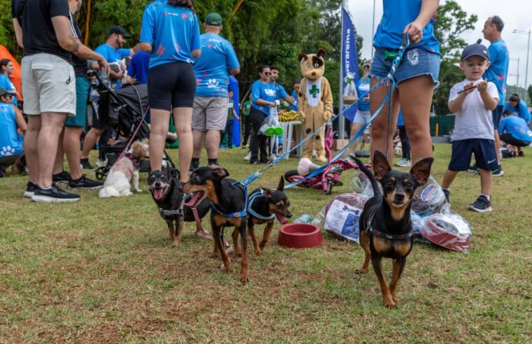Guararema realiza 3ª CãoMinhada no próximo dia 6 de dezembro
