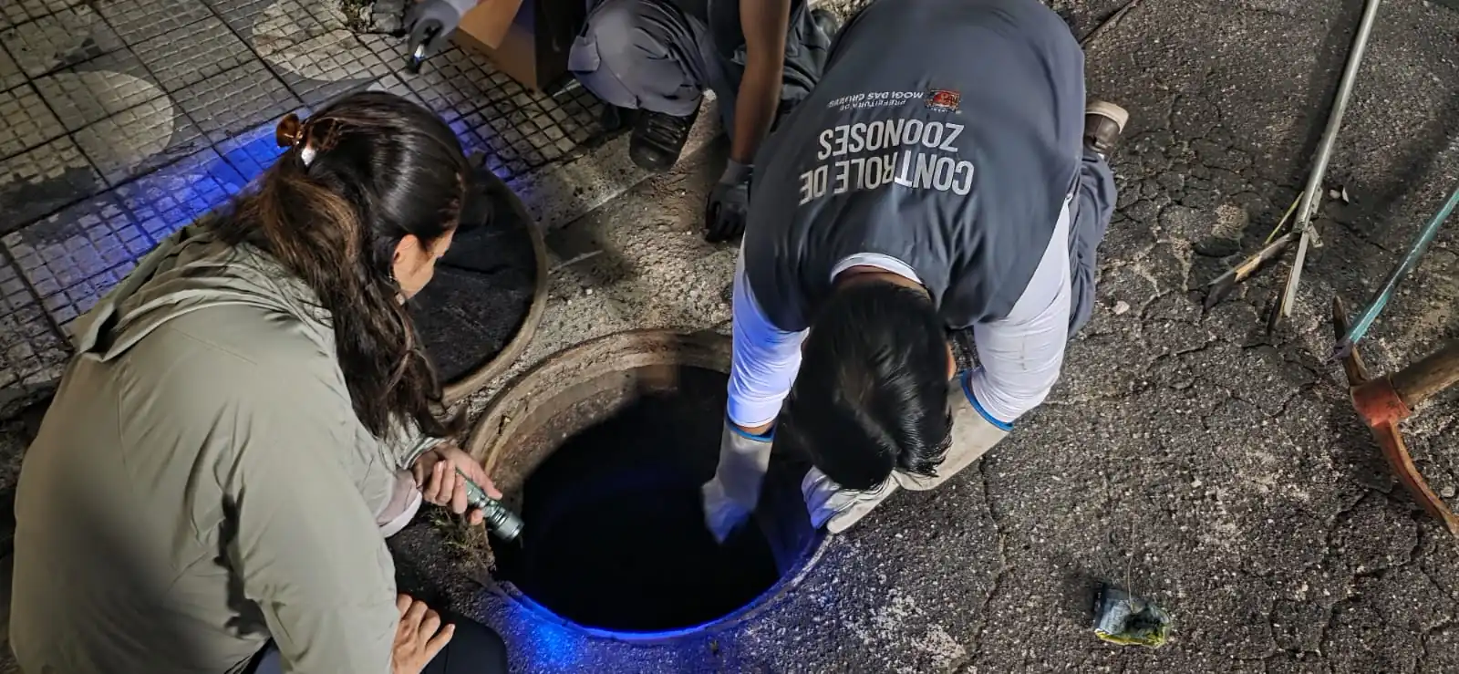 Zoonoses captura 20 escorpiões durante ação em Mogi das Cruzes