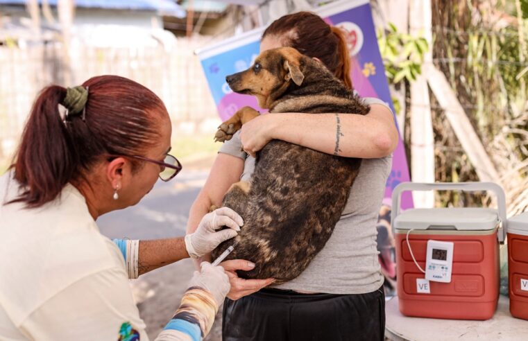 Guararema realiza ação gratuita de vacinação antirrábica nesta sexta-feira (12)