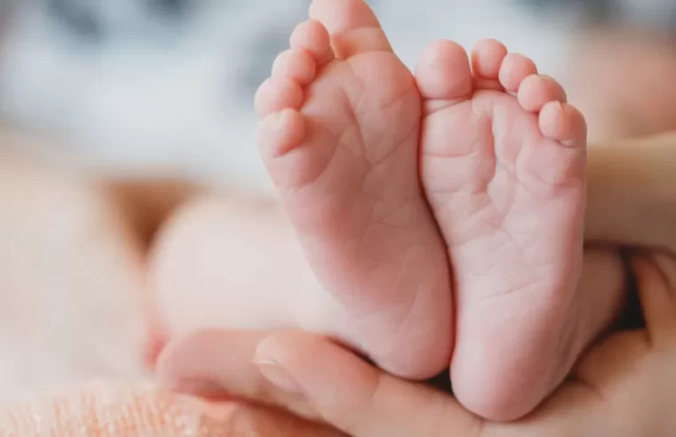 Pelo segundo ano seguido, Helena lidera o ranking de nomes registrados