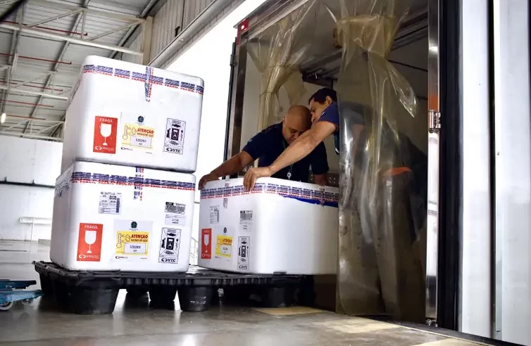 Governo começa a distribuir vacina contra vírus sincicial respiratório