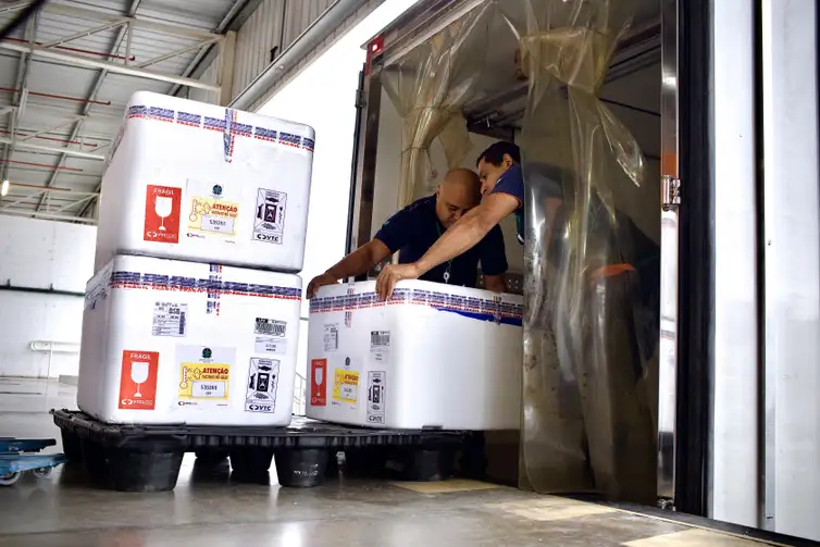 Governo começa a distribuir vacina contra vírus sincicial respiratório