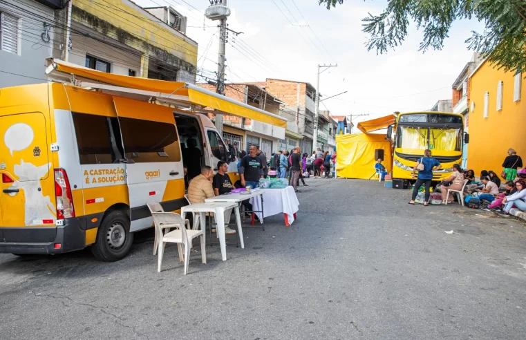 Ferraz de Vasconcelos abre inscrição online gratuita para castração de cães e gatos