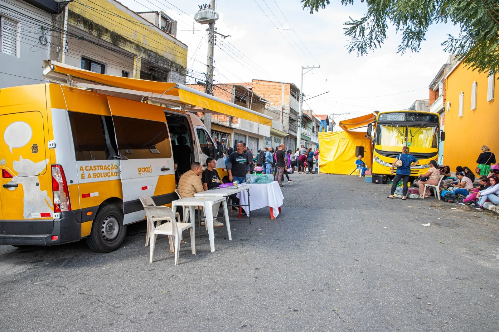Ferraz de Vasconcelos abre inscrição online gratuita para castração de cães e gatos