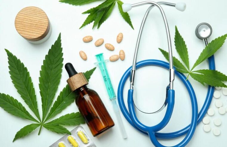 Anvisa aprova novas regras para cannabis medicinal no Brasil