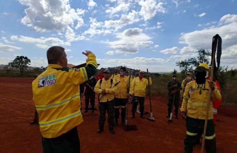 Governo de SP abre inscrições para 243 vagas de brigadistas com salários de até R$ 4 mil
