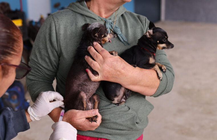 Guararema segue com vacinação itinerante de cães e gatos nesta sexta