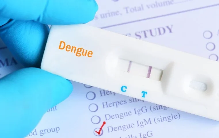 SUS passa a oferecer teste rápido de dengue