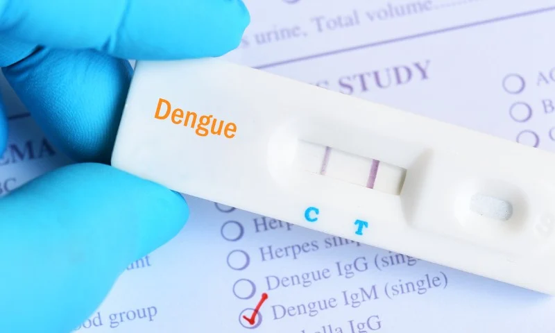 SUS passa a oferecer teste rápido de dengue