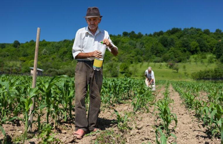 Lei dispensa multa para contar tempo de trabalho rural anterior a 1991 na aposentadoria