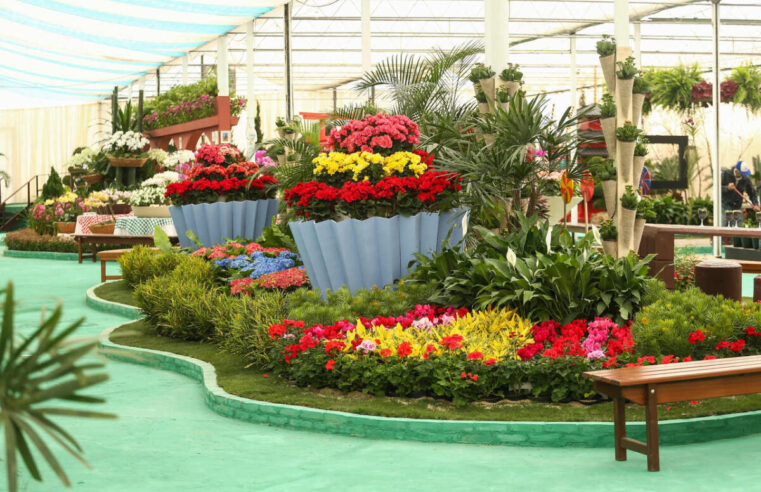 Arujá receberá para fortalecer cadeia produtiva no Alto Tietê