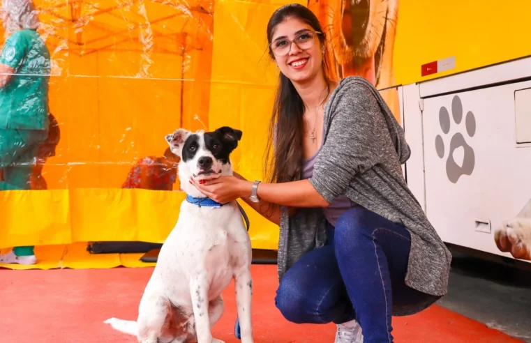 Ferraz realiza mutirão gratuito de castração de cães e gatos de 24 a 26 de julho