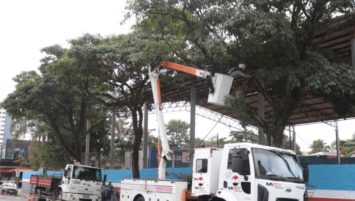 Suzano realiza poda em ruas da região central em razão da previsão de ventos fortes